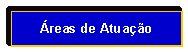 Caixa de texto: reas de Atuao